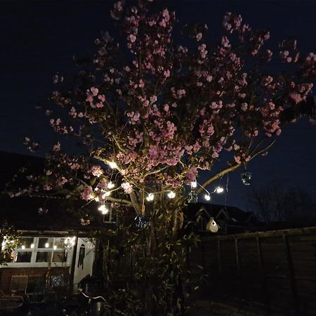 Lotus Pod House Homestay Horsell Exterior foto
